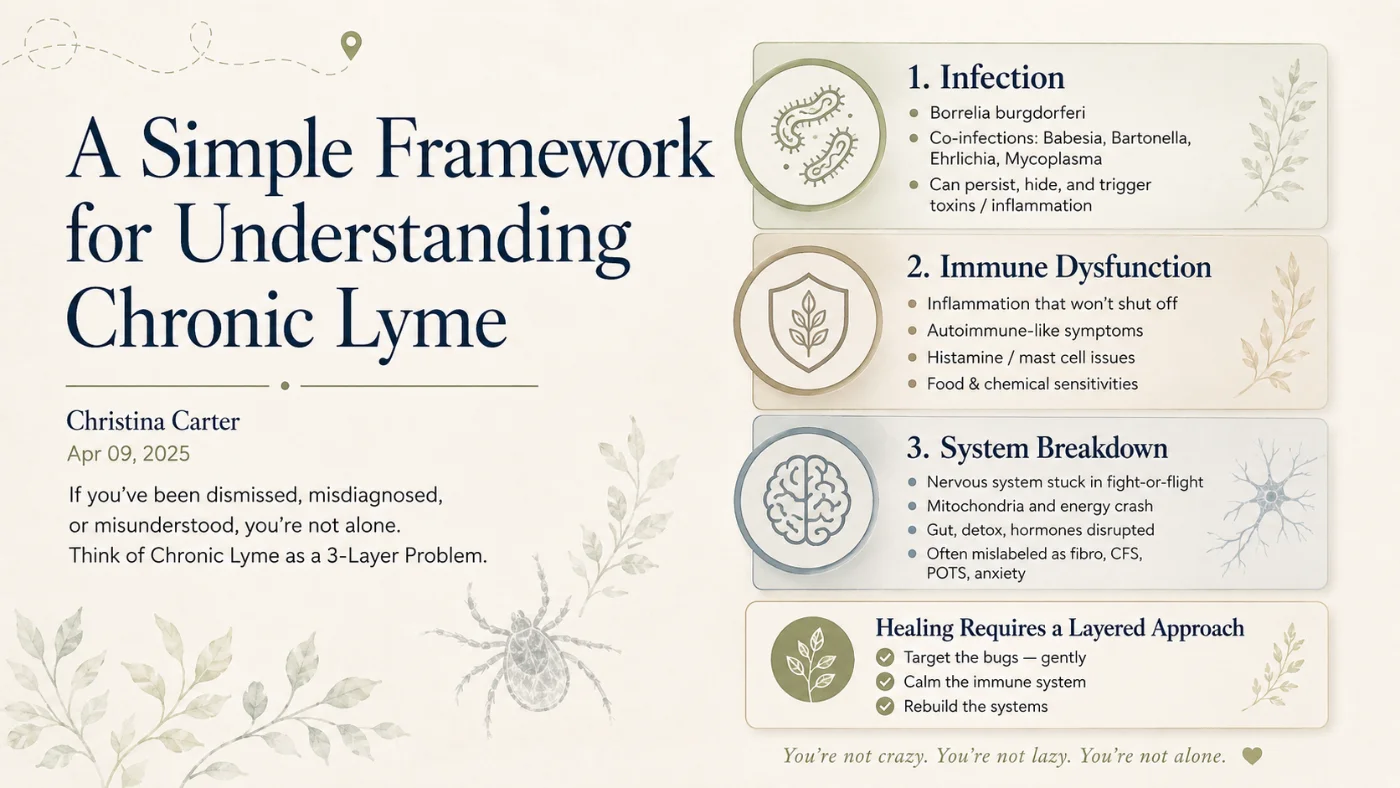 A Simple Framework for Understanding Chronic Lyme — the 3 layers: infection, immune dysfunction, and system breakdown