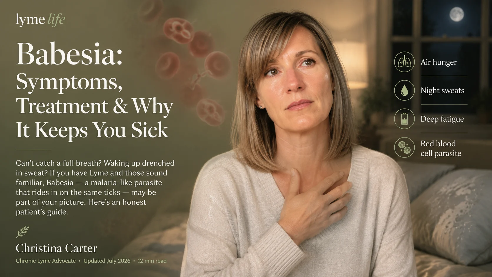 Babesia co-infection and Lyme