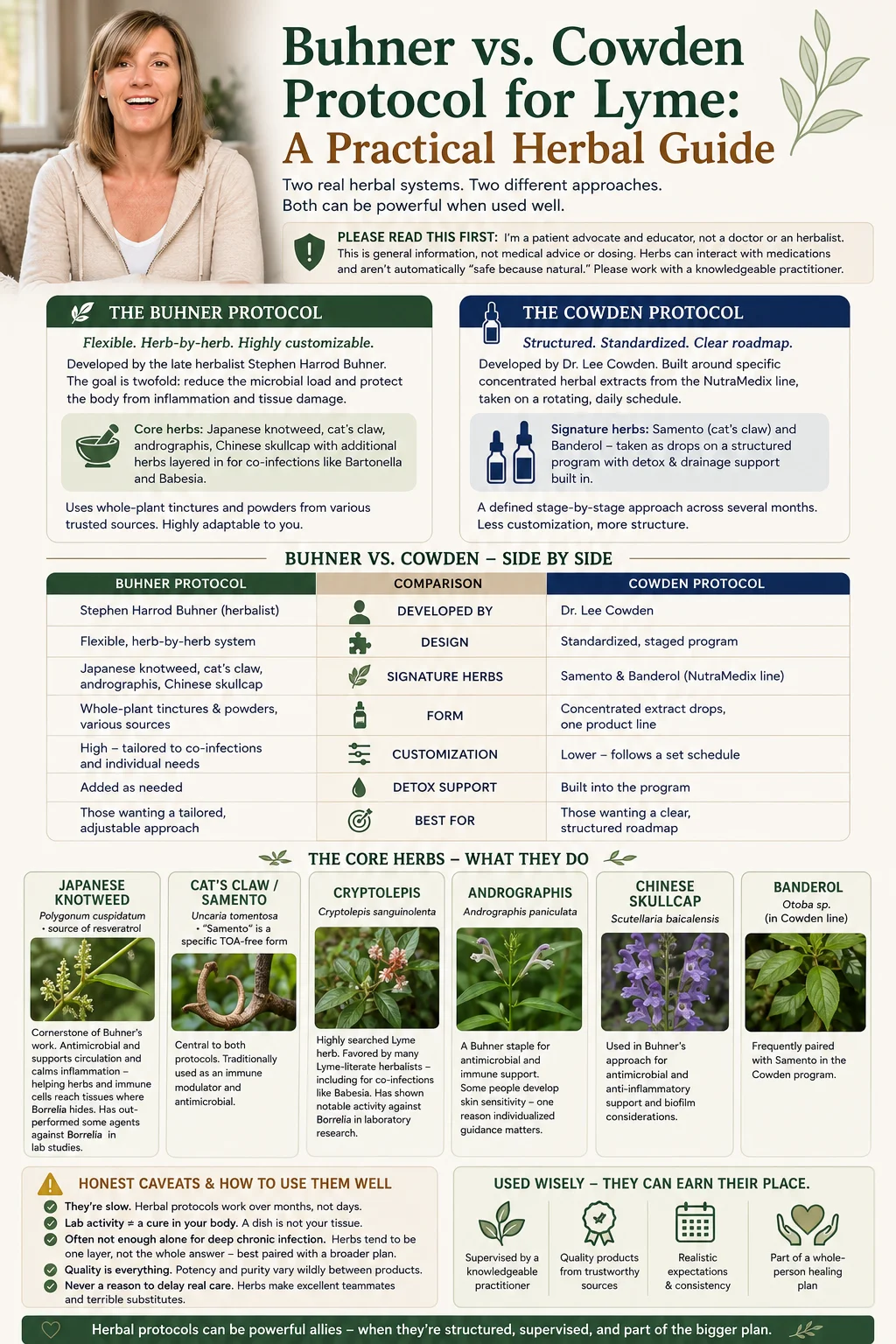 Buhner vs. Cowden protocol for Lyme — a practical herbal guide comparing the two systems, their signature herbs, and how to use them well