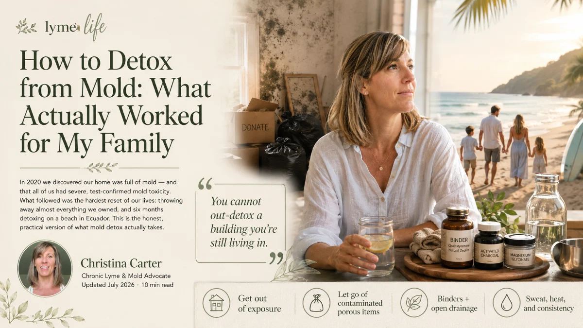 How to detox from mold