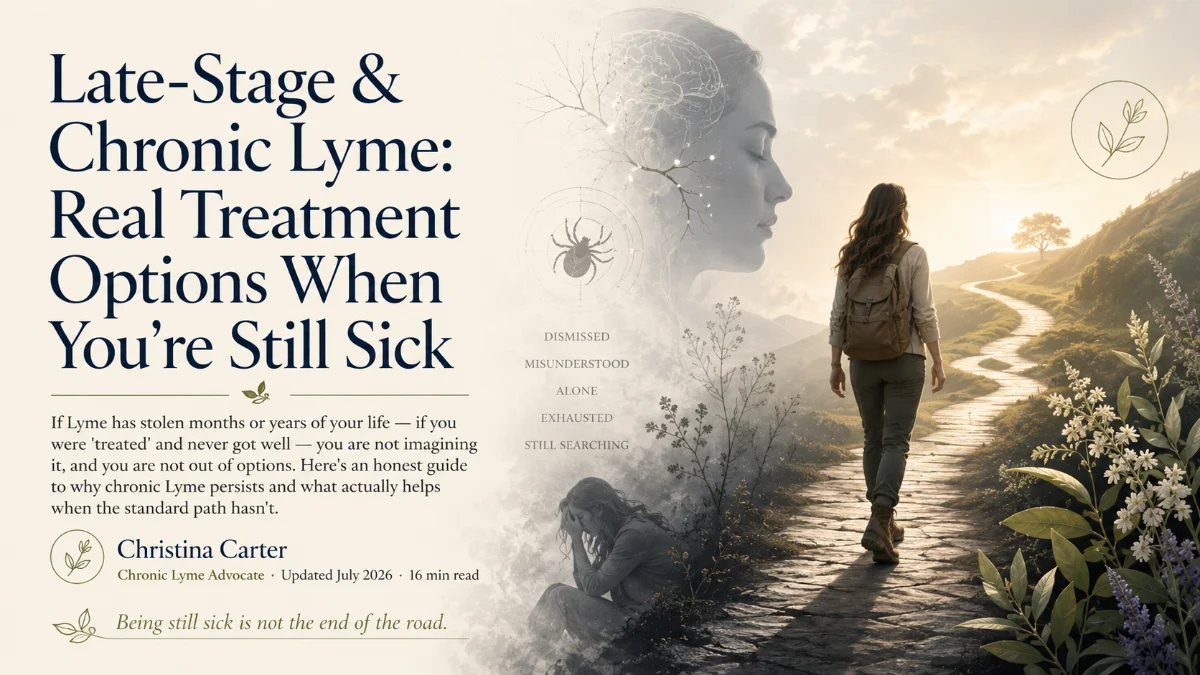 Comparing chronic Lyme disease treatment centers