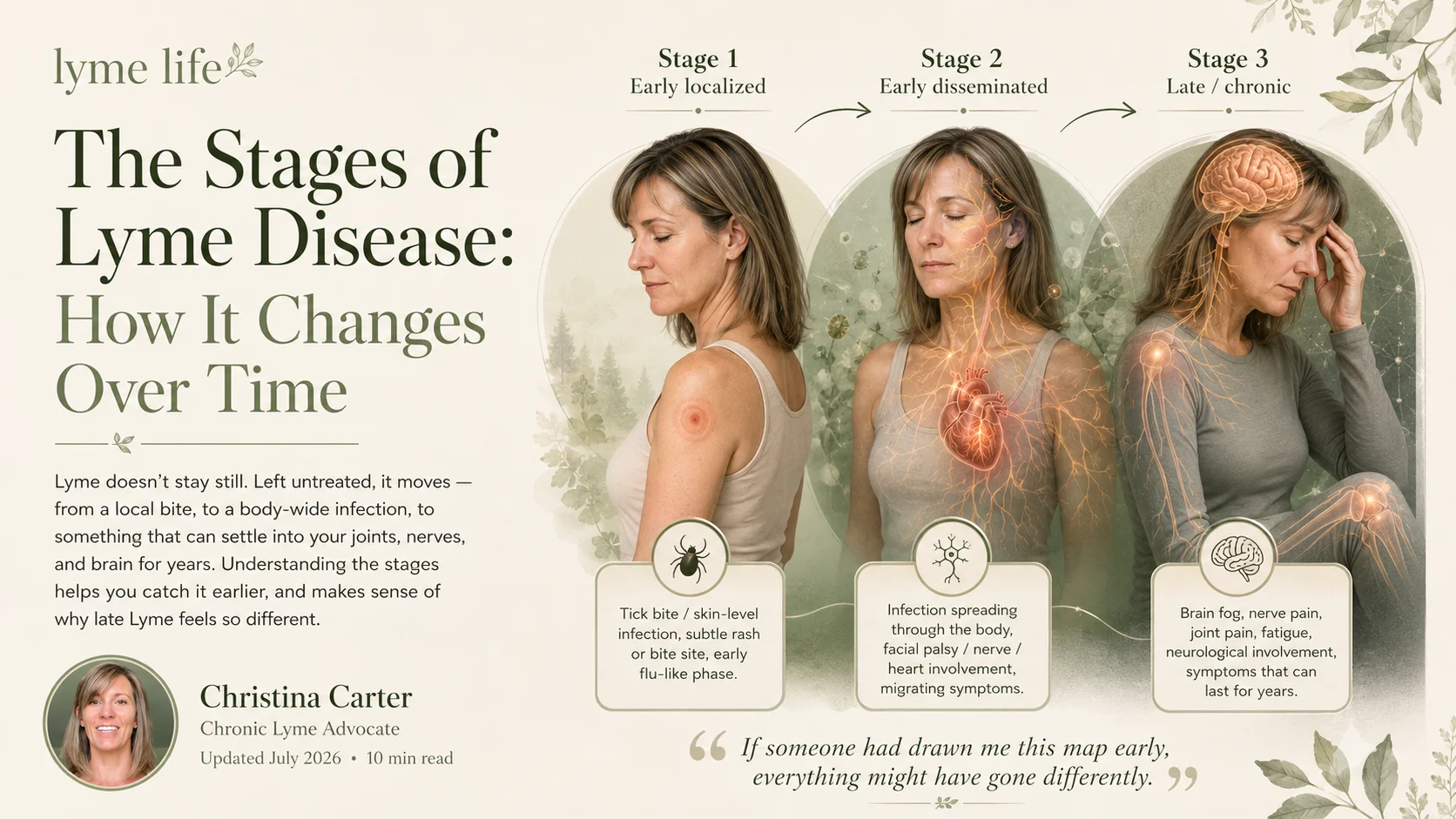 The stages of Lyme disease progression