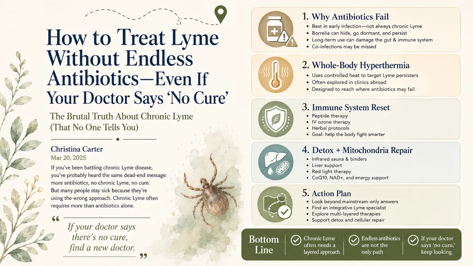 How to treat Lyme without endless antibiotics — why antibiotics fail, whole-body hyperthermia, immune reset, detox and mitochondria repair